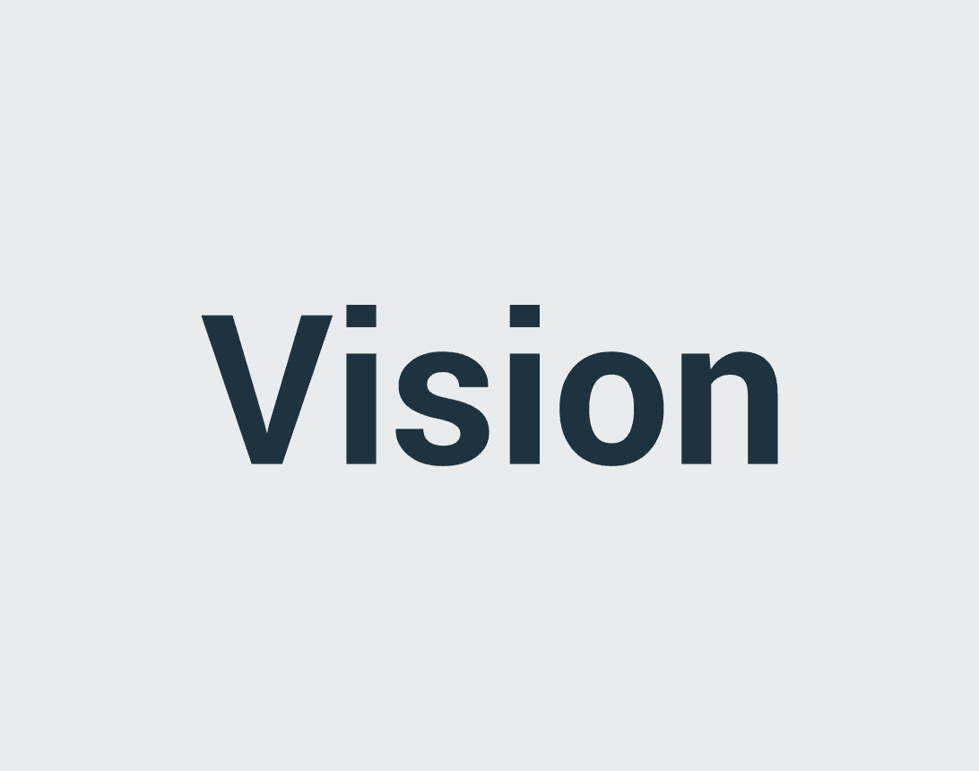 Vision